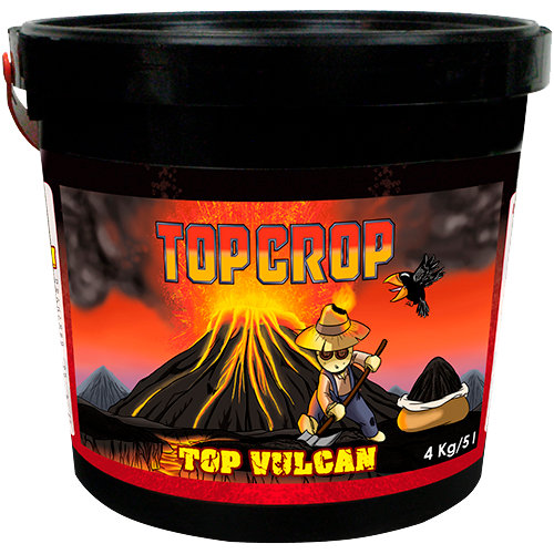 TOPC0031-00