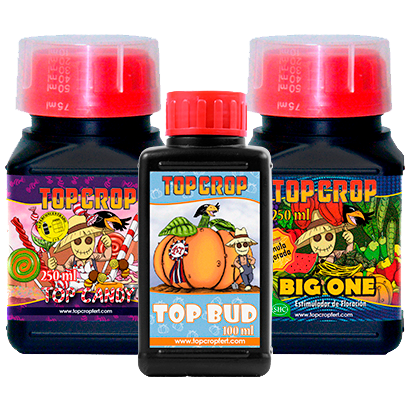 TOPC0039-00