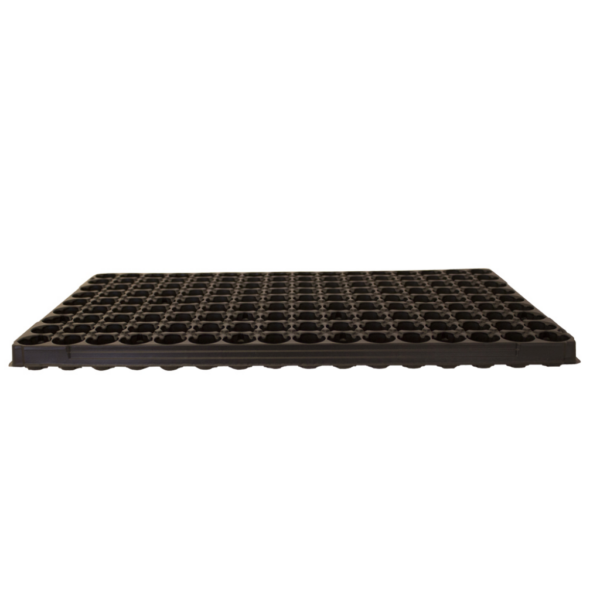 BAND0014-00