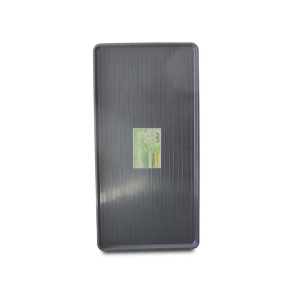BAND0031-00
