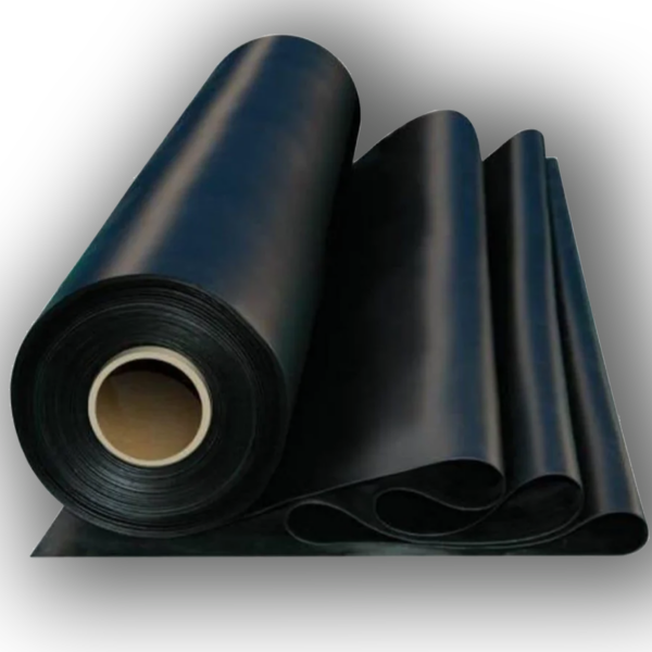 BAND0055-00