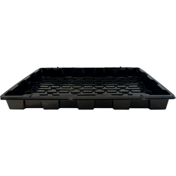 BAND0062-00