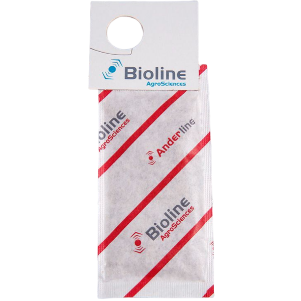 BICH0064-00