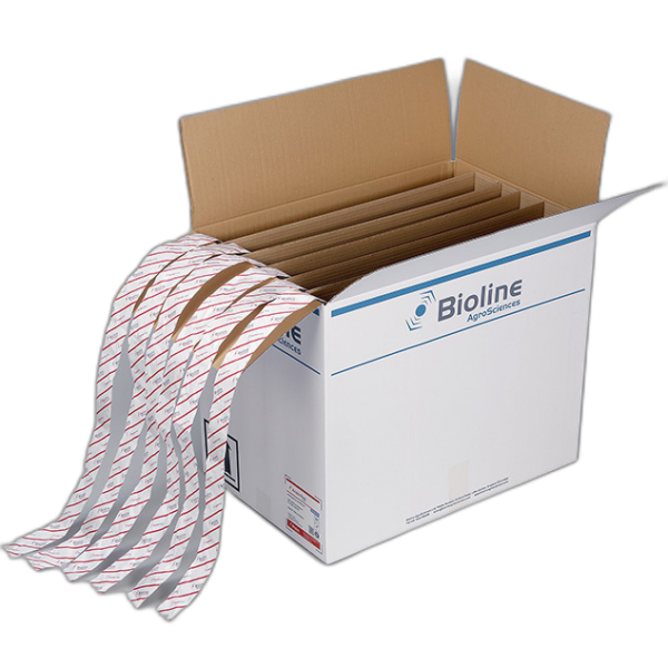 BICH0067-00