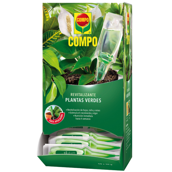 COMP0038-00