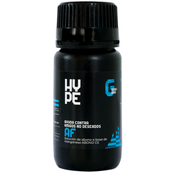 HYPE0217-00