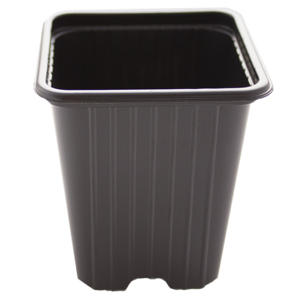 MACE0013-00