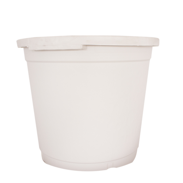 MACE0018-00