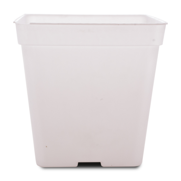 MACE0032-00