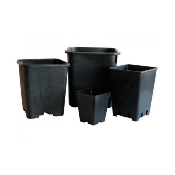 MACE0053-00