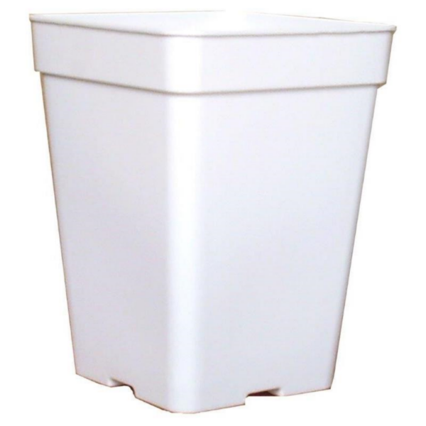 MACE0058-00