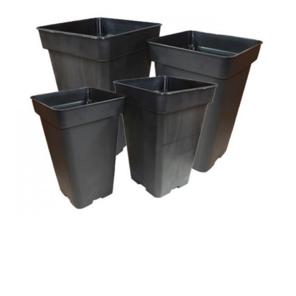 MACE0062-00