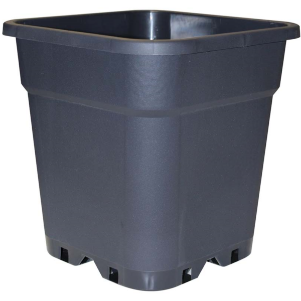 MACE0138-00