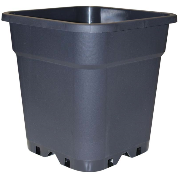 MACE0138-00