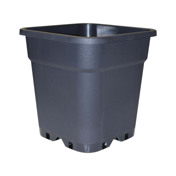 MACE0139-00