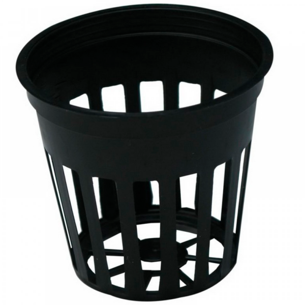 MACE0164-00