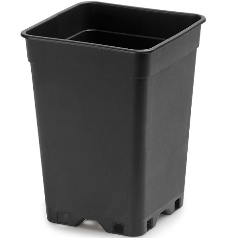 MACE0182-00
