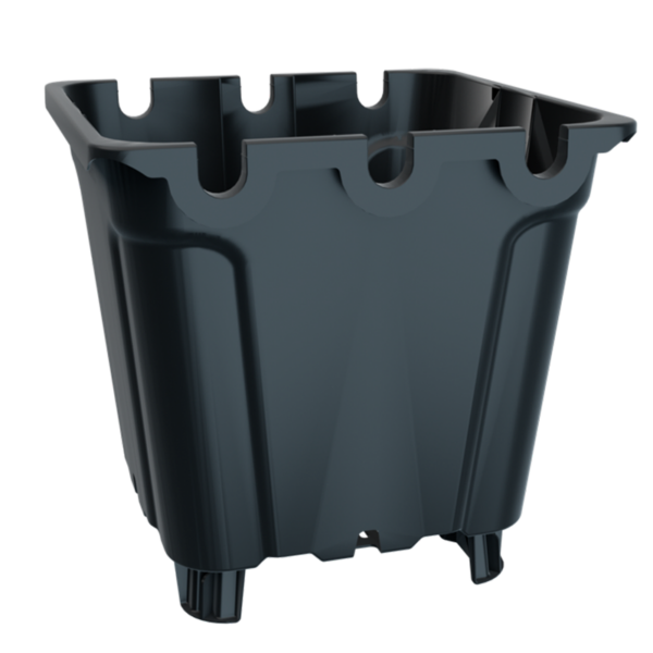 MACE0193-00