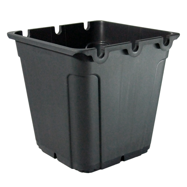 MACE0196-00