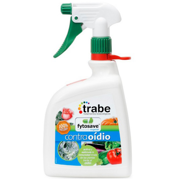 TRAB0089-00